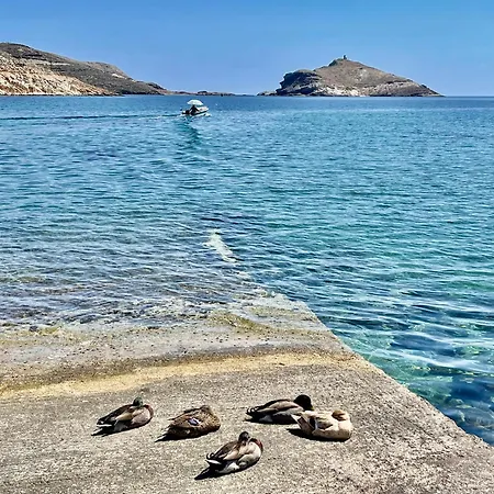 Maroniti * Pánormos