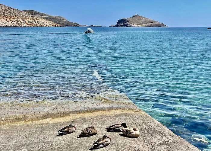 Maroniti * Pánormos